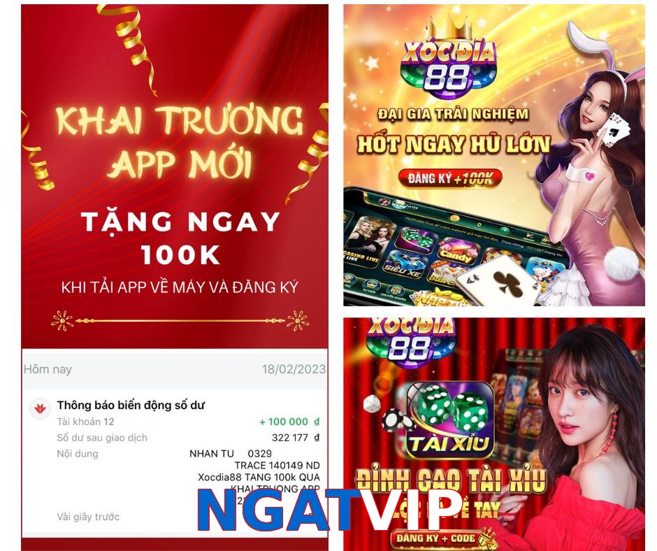 NGATVIP